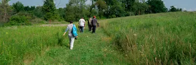Meridian Conservation Corps volunteers walking in Davis Foster Preserve during the summer