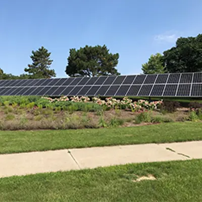 Large solar panel outside the Municipal Building behind a patch of flowers