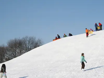 Children sledding on the North Meridian Road Park hill in winter