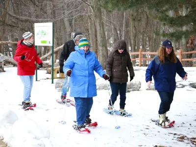 Group of people snowshoeing at the Harris Nature Center